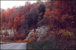 A Cave Run Lake Roadway.