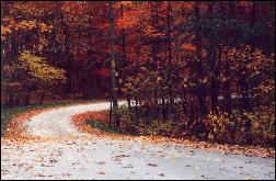 A Road in Cave Run Lake country.