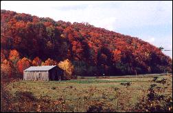 Cave Run Lake Country