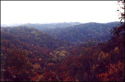 Cave Run Lake Valley