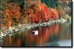 Cave Run Lake - Fishing Photo