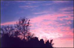 Sunset at Cave Run Lake - Cave Run, Kentucky