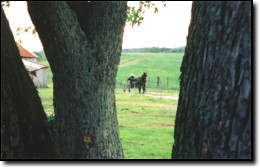 Cave Run Lake area - young farmer.