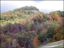 Cave Run Lake