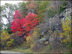 Cave Run Lake