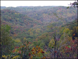 Cave Run Lake