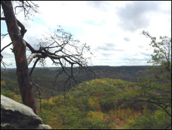 Cave Run Lake