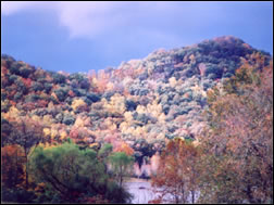 Cave Run Lake