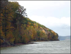 Cave Run Lake