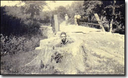 Charley Stevens behind tree stump located on Old 801 Triplett Creek