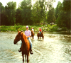 Cave Run Lodging